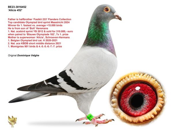 Site Admin profile image